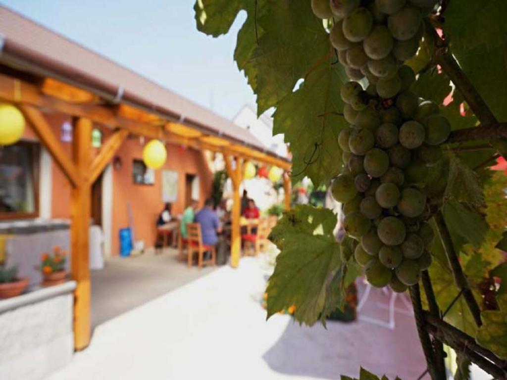 Privat Bohemia Šatov Exterior foto